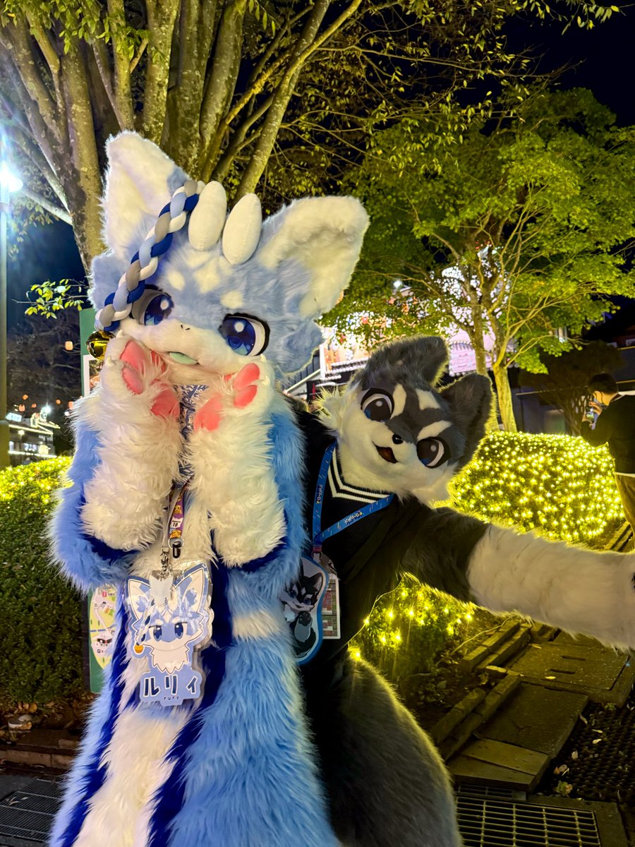 仲のいい2匹
#kemocon18