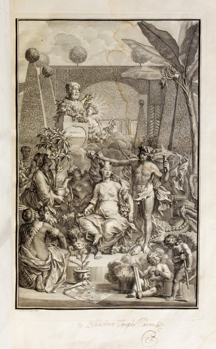 BibyArchRANME's tweet image. Grabado de Jan Wandelaar (1690-1759) que simboliza la unión entre #ciencia (Linneo), el #arte (Wandelaar) y el #mecenazgo (Clifford), con alegorías de la abundancia y del estudio de la naturaleza en el marco de Hartekamp,el jardín botánico propiedad de George Clifford (1685-1760)