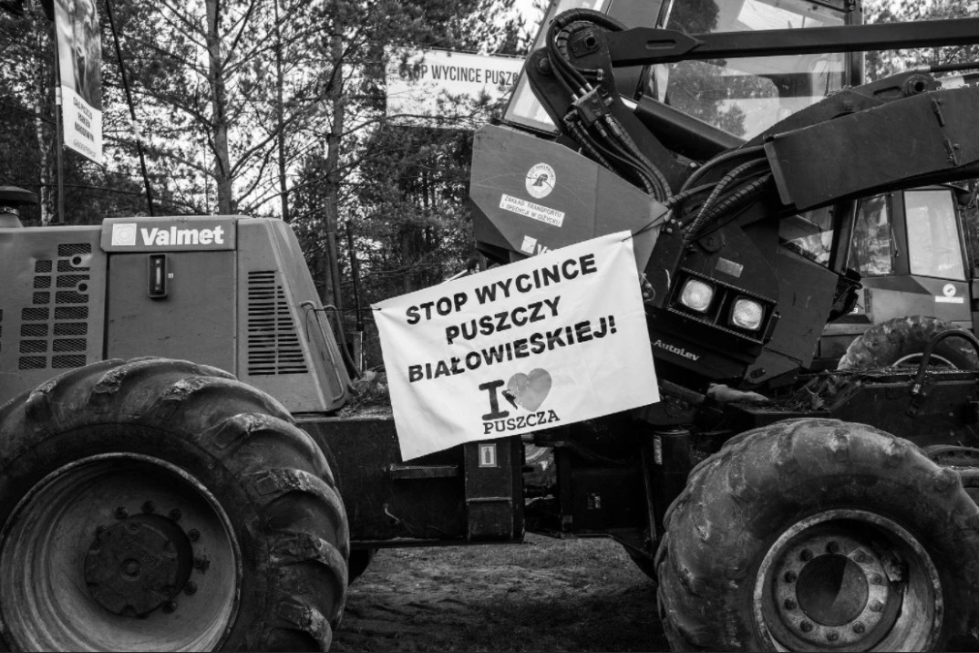 Pilne! LP przywraca ekipę CILP z czasów masowych wycinek lasów za PIS! Zaczęto od stanowiska szefa Wydziału Komunikacji Strategicznej DGLP -patrz art. z 2023r: wyborcza.pl/7,177851,29939…
Po 15 października opinia publiczna, szczególnie ta zaangażowana w ochronę przyrody, oczekiwała