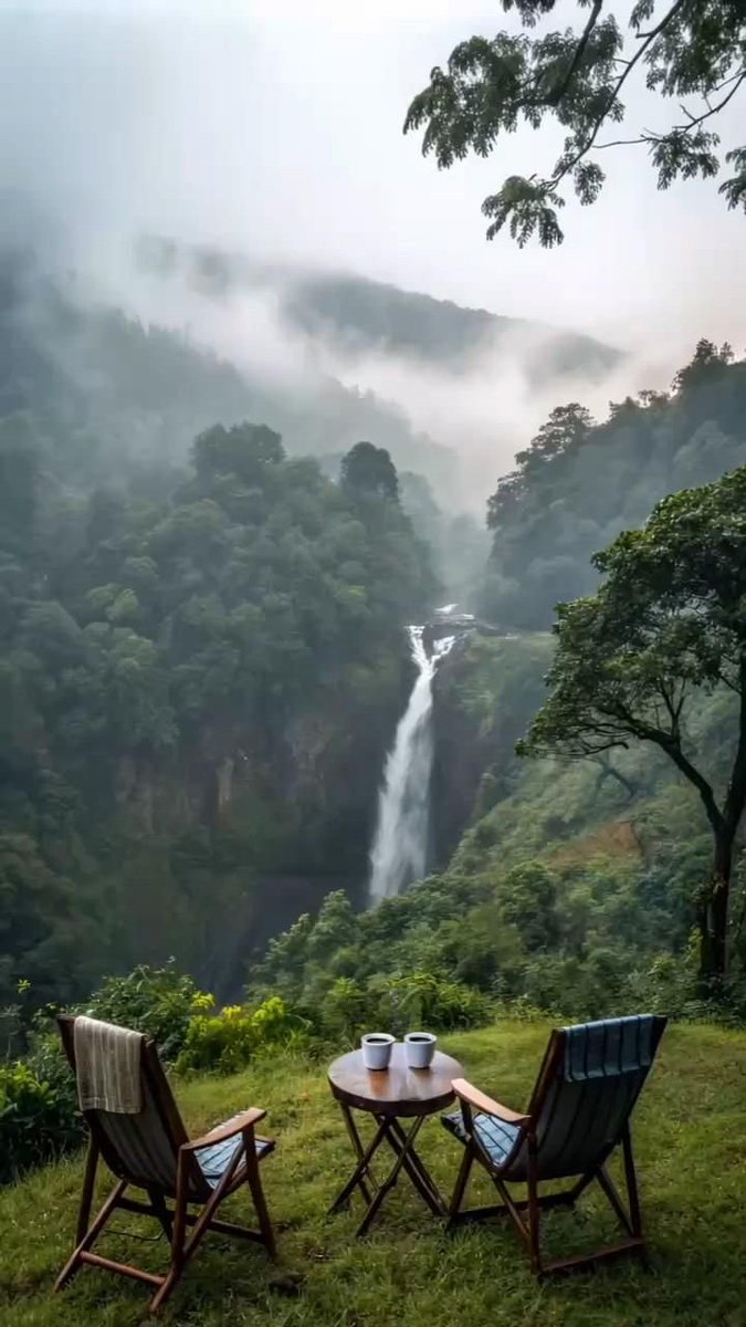 wasdfzxcv6259's tweet image. 