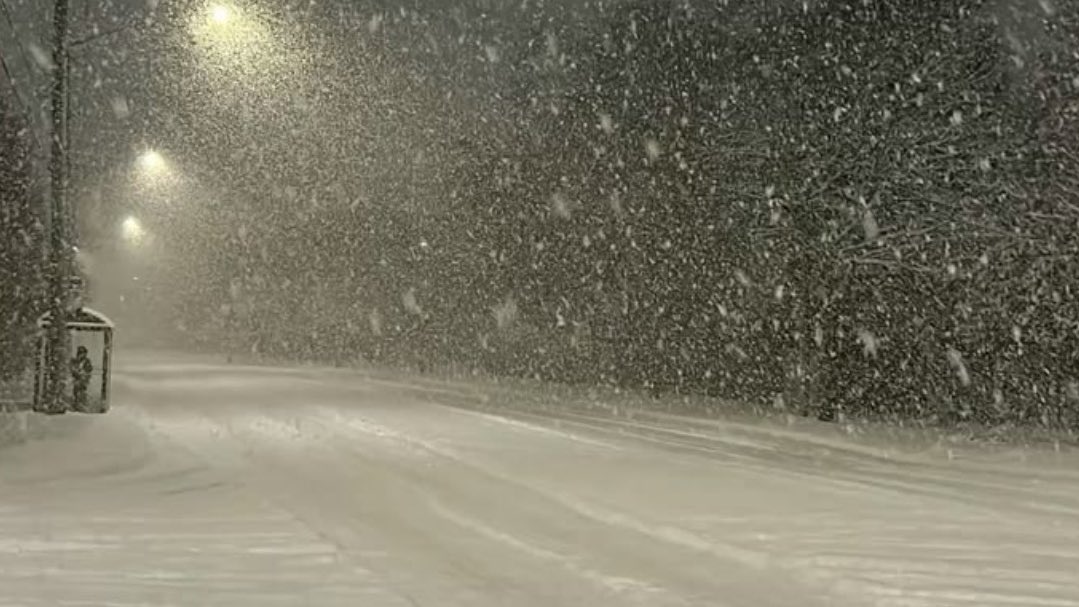 laylaspinnin's tweet photo. i. envy. the. snow. https://t.co/awnY5feNPs