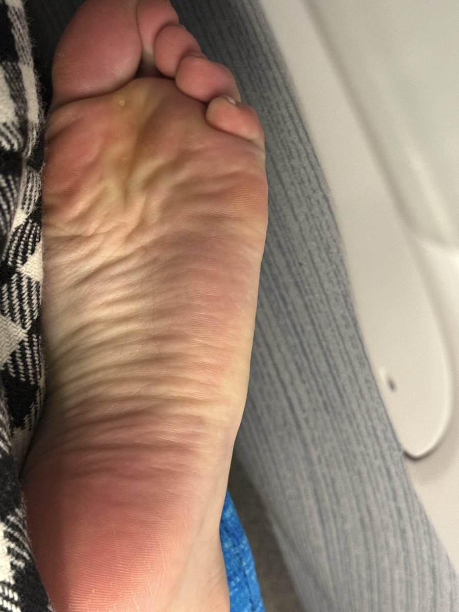 なちゅんぱ🐾（公式） tweet media