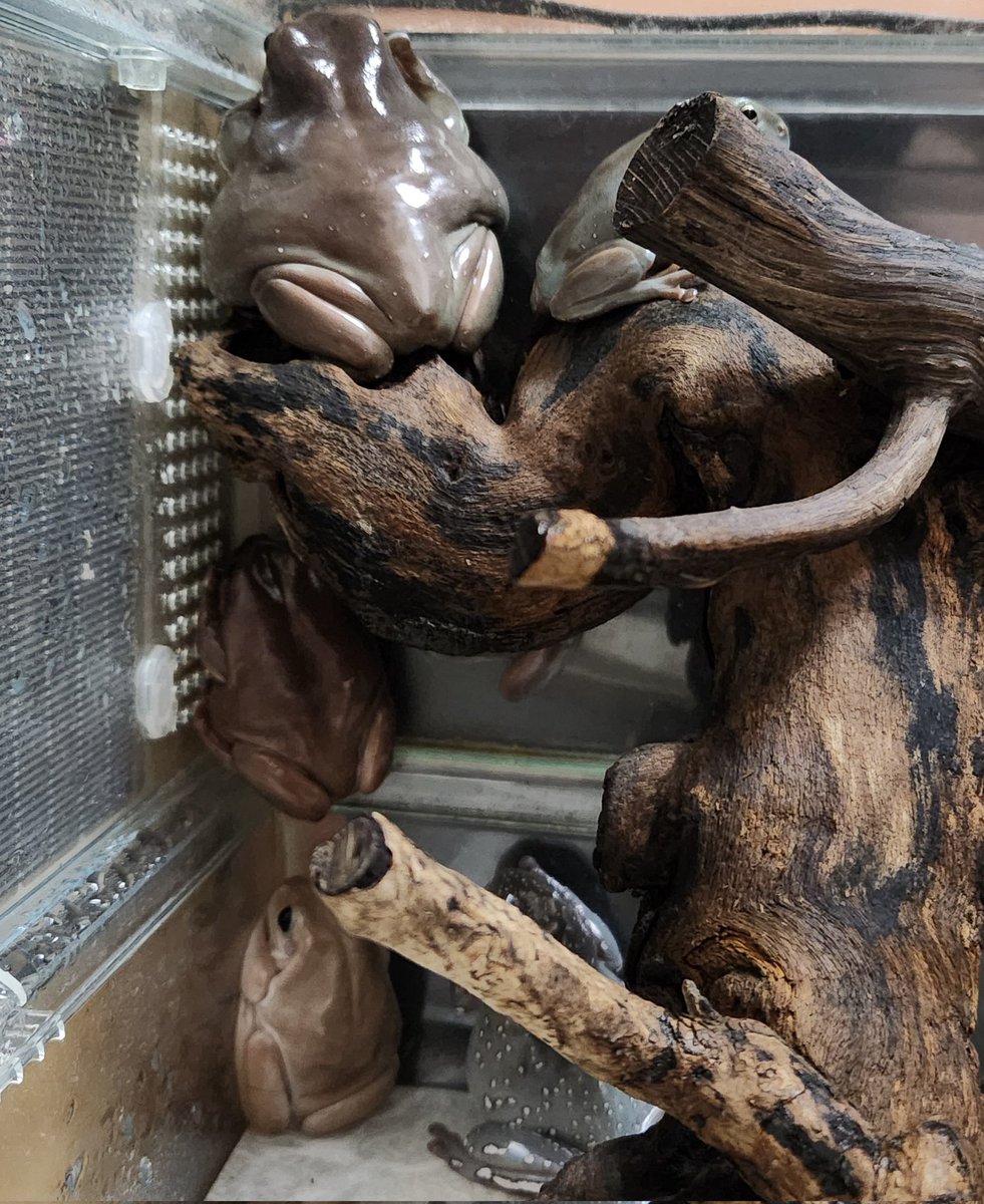 たかゆきパンツ (@T9V7qU3pPf64227) / Posts / X