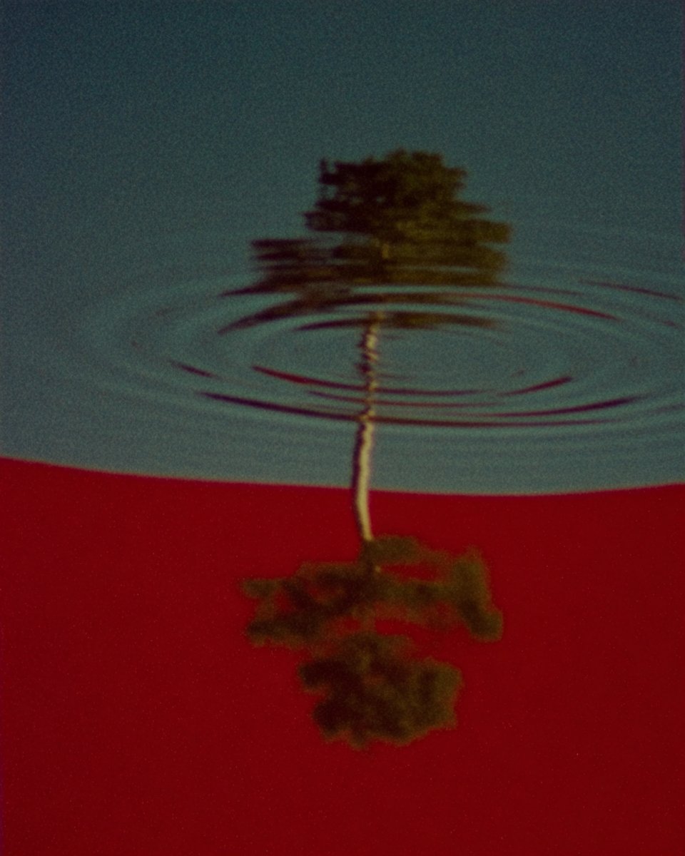 dcbruck's tweet image. Vibin in the latent space in Midjourney

These feel very @perplexity_ai to me