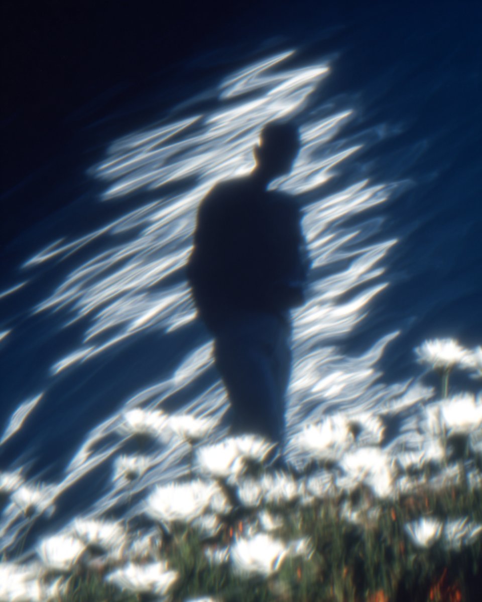 dcbruck's tweet image. Vibin in the latent space in Midjourney

These feel very @perplexity_ai to me