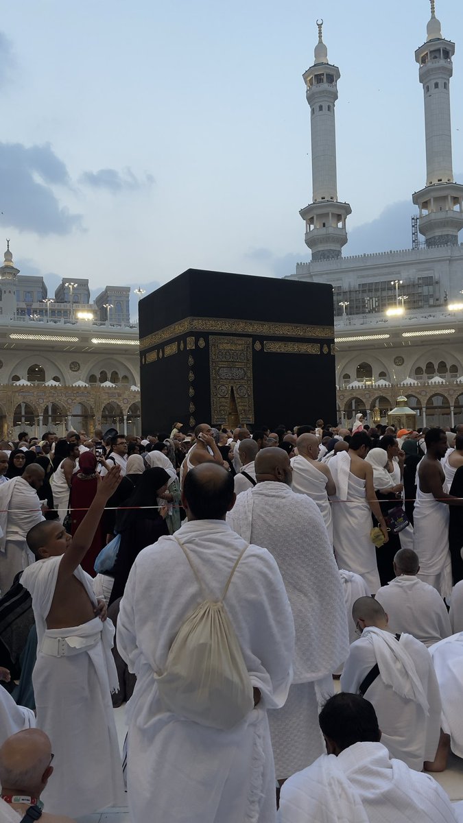 ابرا | IBRA tweet media