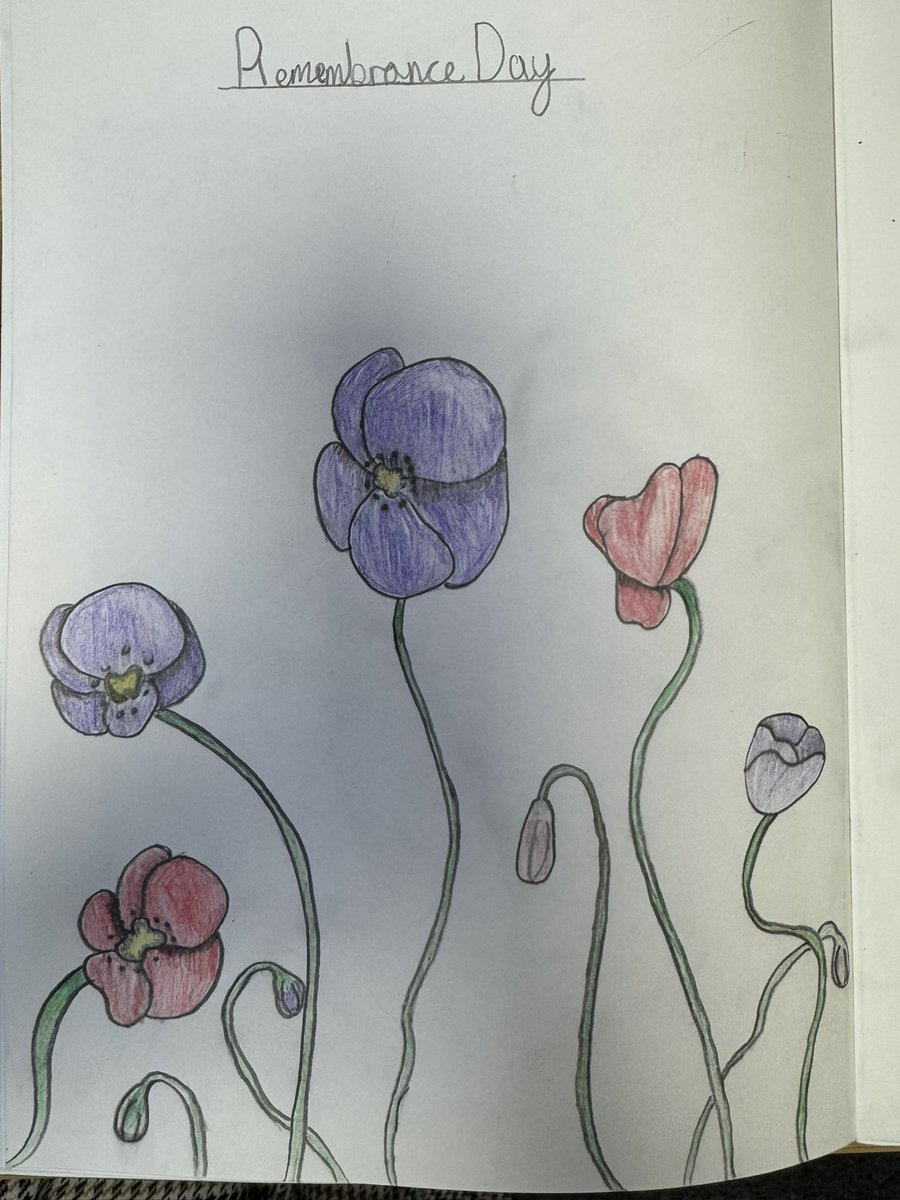 It’s been wonderful to see pupils across the school engaging thoughtfully in learning about Remembrance. A powerful opportunity to reflect and remember together. 🌺
