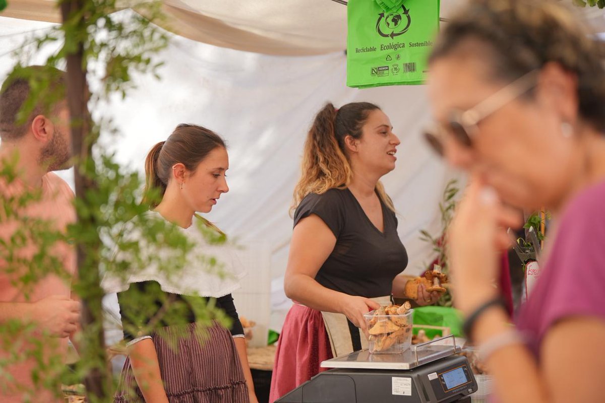 Dijous Bo 2025 tweet media