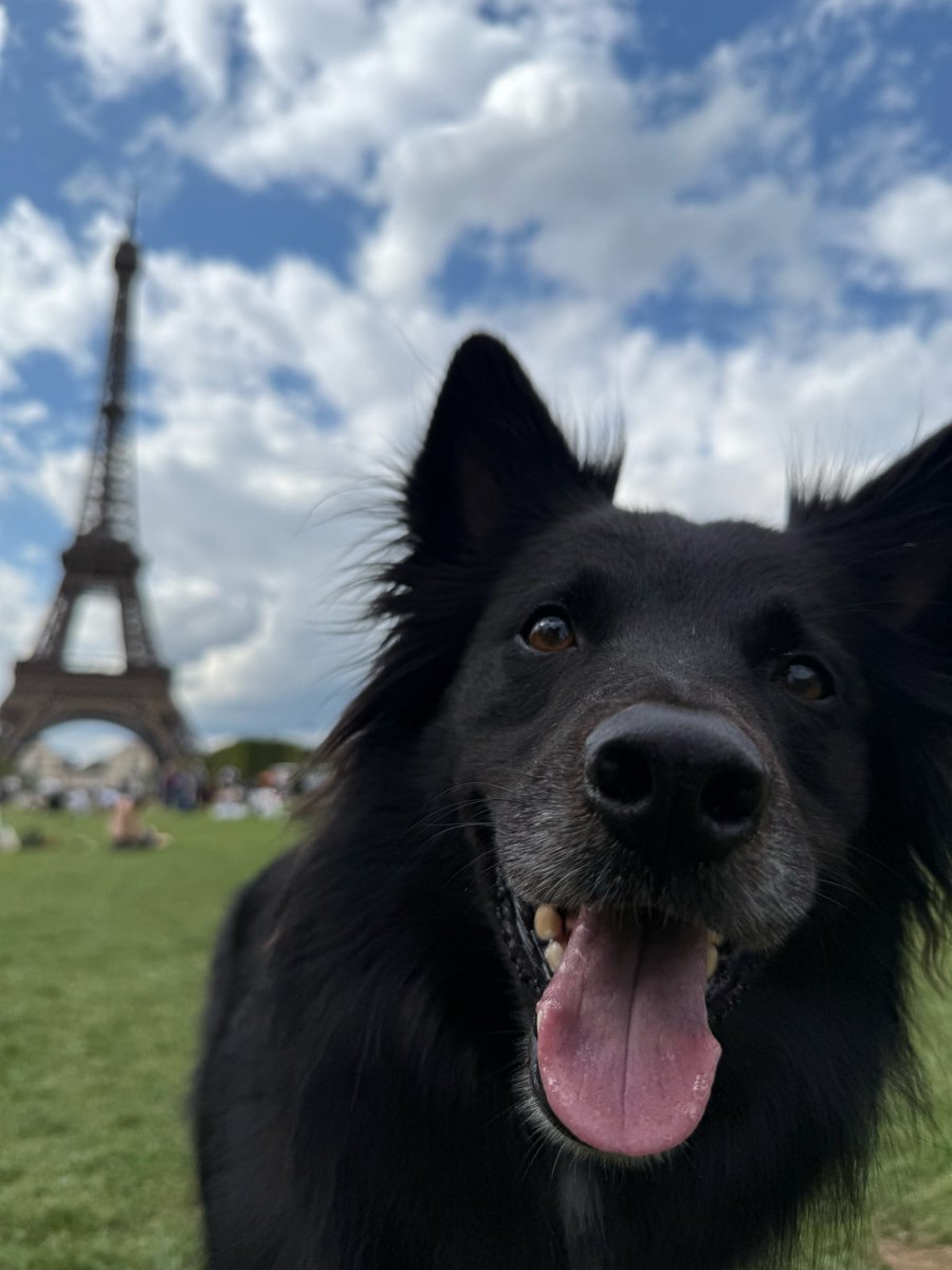 dudels_'s tweet image. The human / His dog