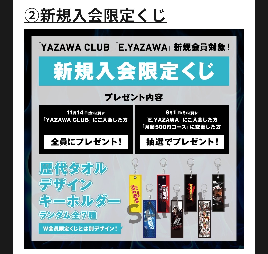 矢沢永吉 Do It！YAZAWA 2025 会場くじ この歴代タオルデザイン