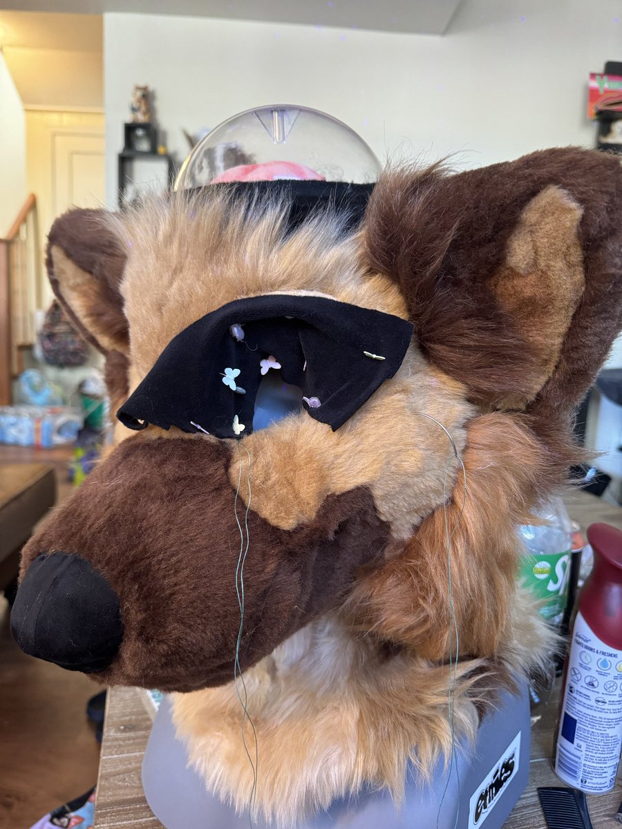bnypudn's tweet photo. can i pet that dawg’s brain https://t.co/O0THqDHBdt