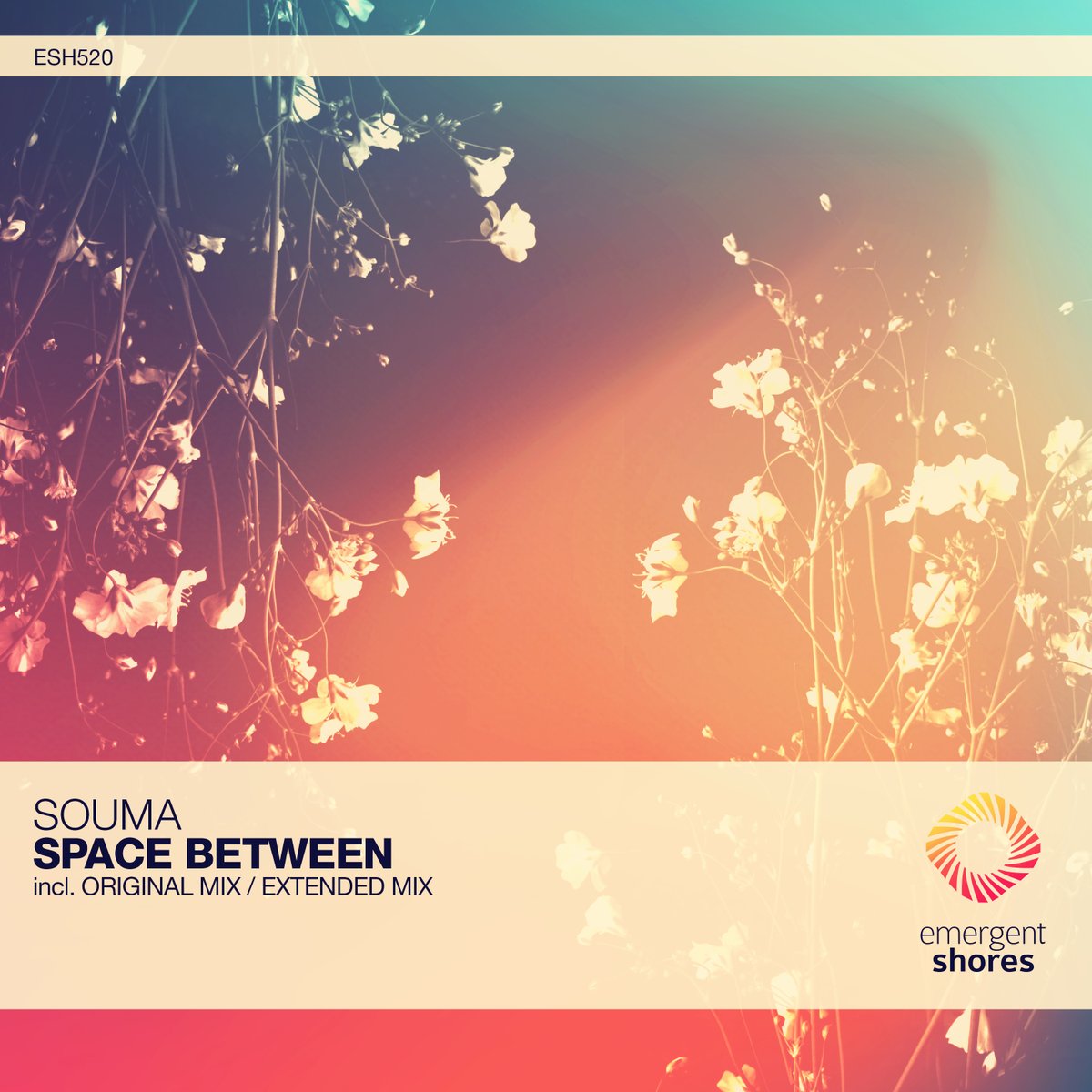Emergent Music tweet media