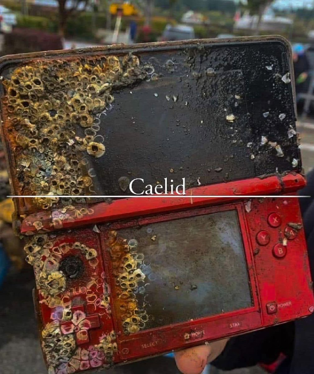 Is this a talisman?

🔗  D4T45T0RM06