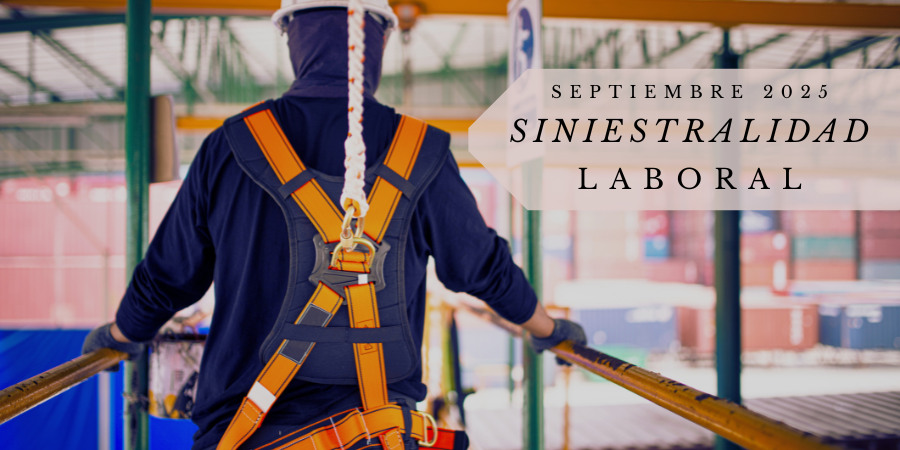 📉 Hasta septiembre, 547 trabajadoras/es han perdido la vida en accidentes laborales.

⚠️ Desde #USO exigimos que la prevención sea prioridad, no coste.
🦺 EPI + evaluaciones de riesgos + adaptación de puestos = vidas salvadas
🔗 uso.es/disminuye-la-s…
#SiniestralidadLaboral