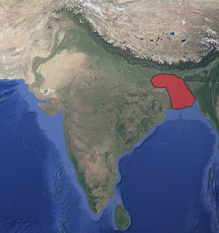 Verman dynasty of bihar at its peak.