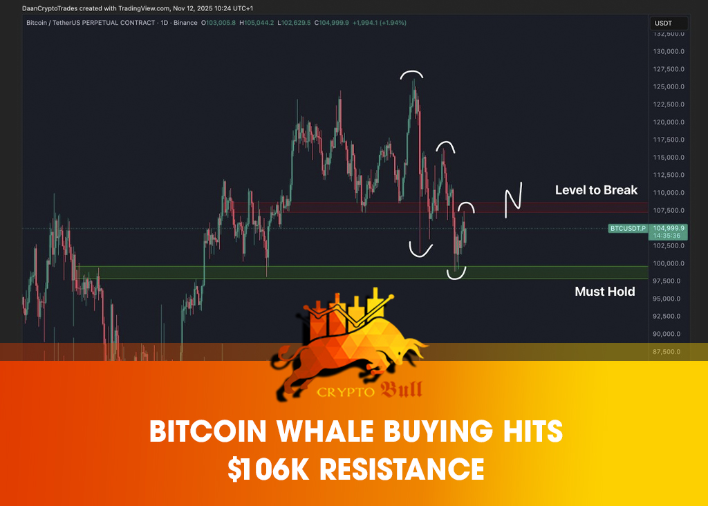 Bitcoin whale buying hits $106K resistance 🐋

Whales scooped up 45,000 BTC in their second-largest accumulation of 2025, pushing BTC to $107,500 briefly after a four-month low of $98,900. 📈

Yet, long-term holder selling and a dense supply cluster between $106K–$107K capped