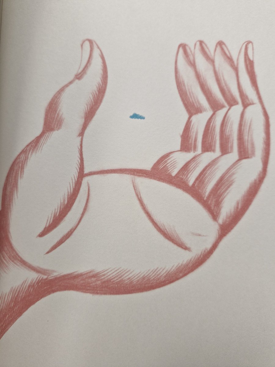 FlayDaniPittella💚🌟🌟🌟 tweet media