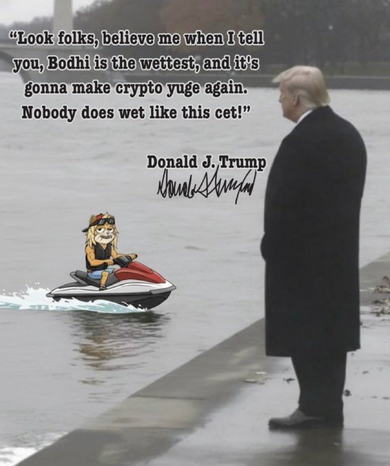 Gbodhi my Brodhi’s,

Another day, let’s find a way to…

WET THE PLANET! 💦🌎

A lot of people feeling exhausted in the eco rn..

Shift focus to community &gt; gains and see what happens. You’ll find dry behavior changes to a most one.

FIND.YOUR.COMMUNITY 💦

$BODHI