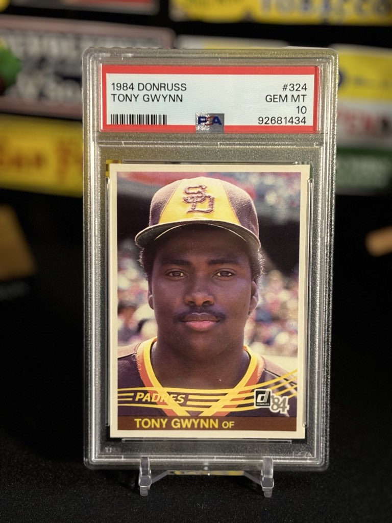 A Glorious Thursday to You ☀️