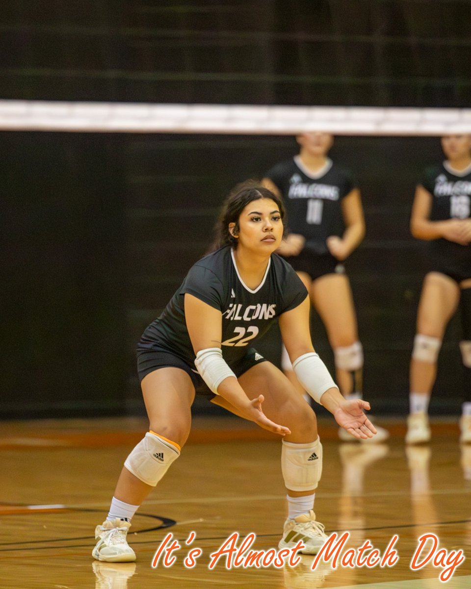 UTPB Athletics tweet media