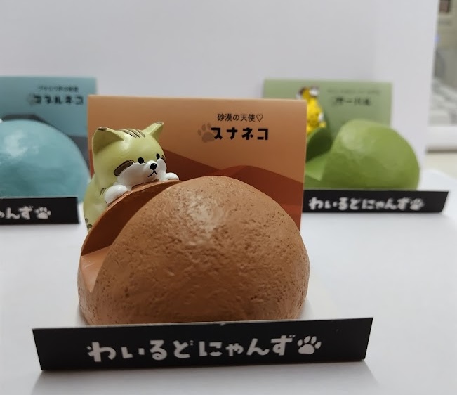 第16回全額寄付チャリティ #にゃんにゃんBOX】へ入る提供品紹介 🐱NO