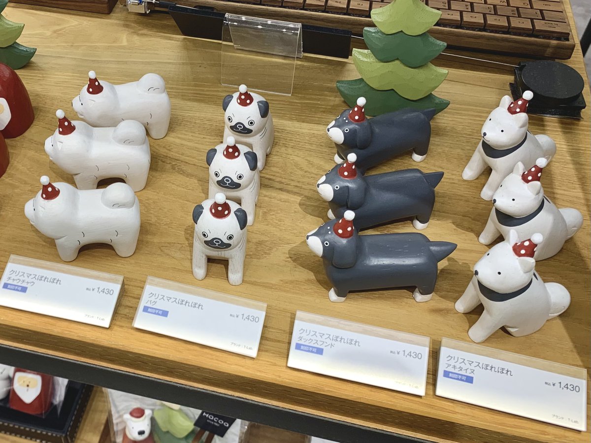 polepoleJK6's tweet photo. クリスマスにぽれぽれはいかがですか❓✊ https://t.co/dUKiN8RPm2
