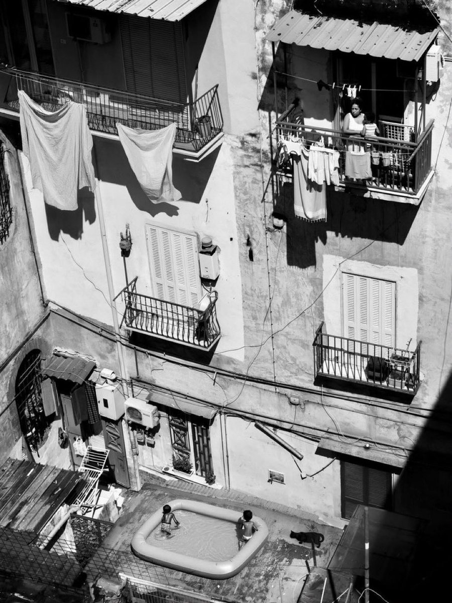 En aquest espai senzill, la vida recorda que la bellesa és només la manera com la llum toca les petites coses.〰️🩶

©️Paolo Belloni.