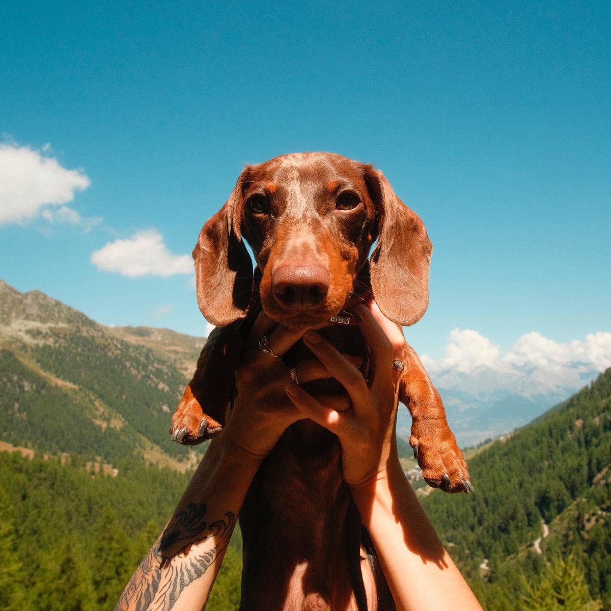 sen_vz's tweet image. Sinnoh / Sinnoh