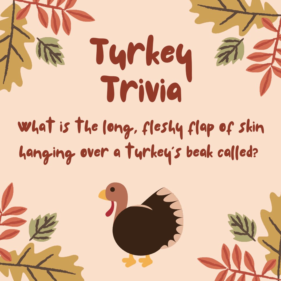 ConfideResearch's tweet image. Let's hear your best guesses before we reveal the answer! 🦃