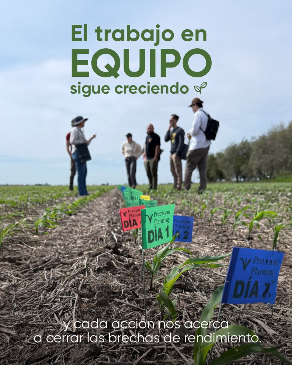 Pasamos por el lote de Rojas para ver cómo viene Brechas 2… 🌾

Los alumnos de la UNNOBA Pergamino estuvieron tomando mediciones sobre calidad de siembra, analizando el stand de plantas y el Coeficiente de Variación (CV). 🌾