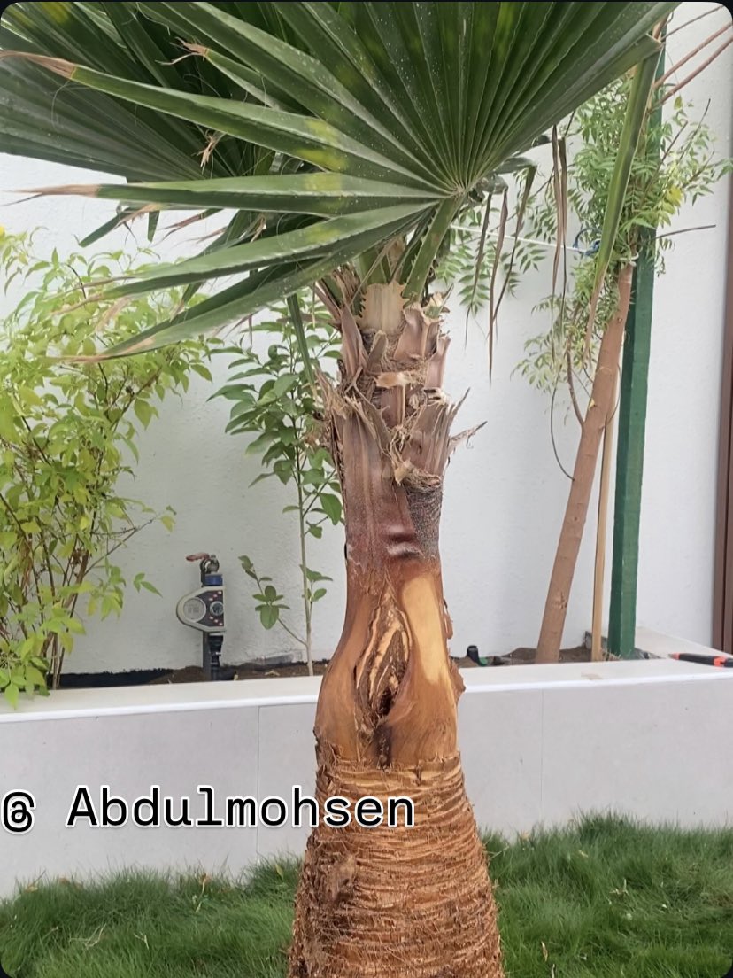 المهندس /عبدالمحسن العبدالمحسن tweet media