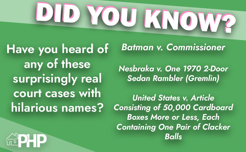 Have you heard of any of these court cases?
#DidYouKnow #FunFact #ThursdayThought #PHPNY #AppellateServices #AppellatePrinting #Appeals #NYCourts
