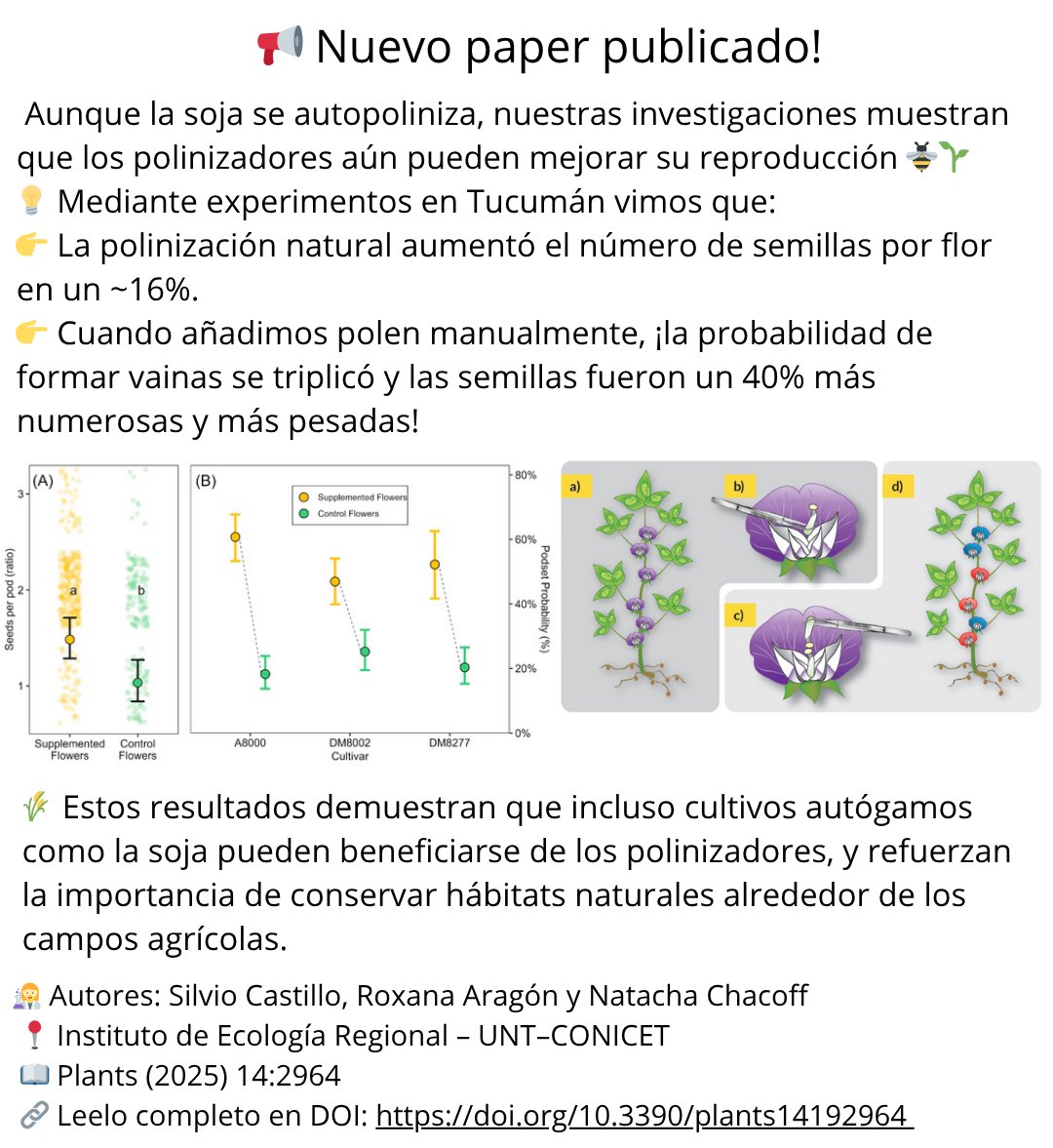 Our new paper on soybean pollination. Manual hand pollination increased the probability of a flower setting a pod and the weights of seeds. doi.org/10.3390/plants…
<a href="/IERconicetunt/">Instituto de Ecología Regional</a>