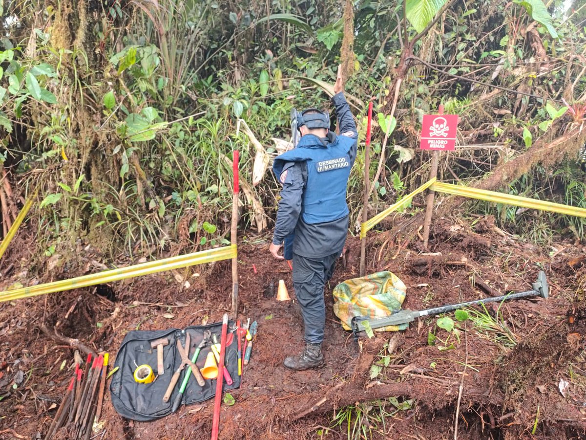 En la vereda Jamarraya, municipio de Pueblo Rico, #Risaralda, soldados del Batallón de Ingenieros de Desminado Humanitario N.º 6 avanzan en su misión de liberar los territorios del peligro de las minas antipersonal. 💣🇨🇴

Durante las operaciones, los desminadores lograron
