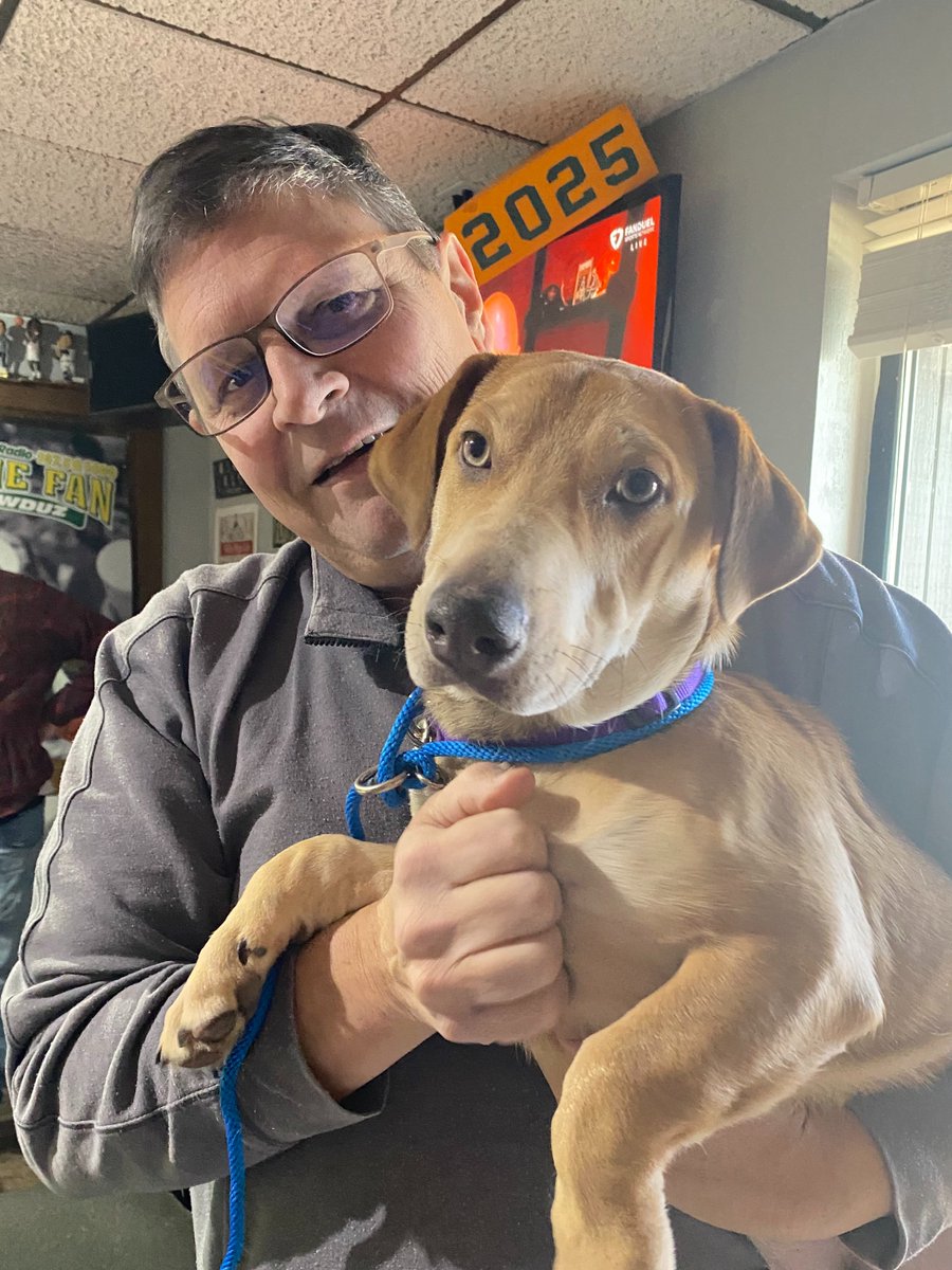 This is Kyle! Kyle is 5 months old, weighs 28 pounds, and is available for adoption <a href="/WiscHumane/">Wisconsin Humane Society</a> Green Bay Campus starting at 2 pm today. Kyle is happy and friendly, (a little licky) and will make a great companion. 
Take him home today!!