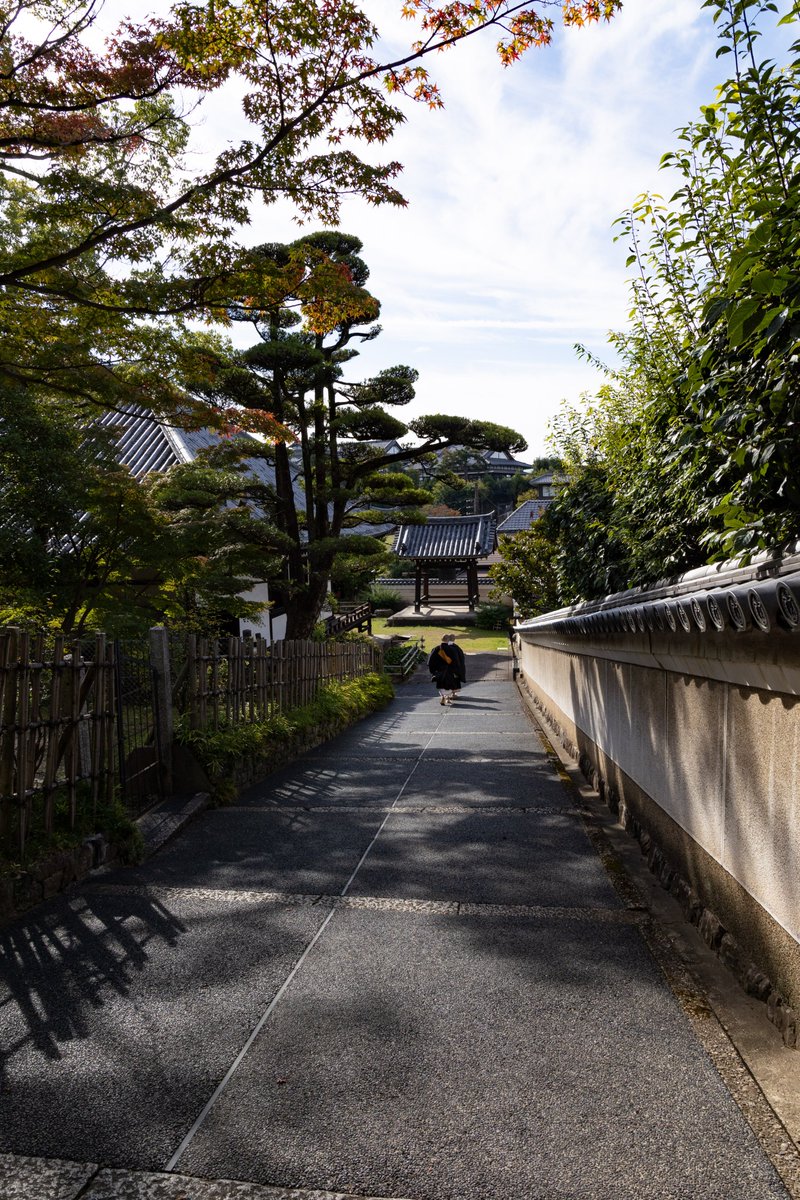 antira_taishou's tweet photo. 五重塔の修復工事の時期だったね、と、後々思い出話になるのでは、ということで、五重塔看板から東金堂に向かう南さんと童子さん、が安底羅的お気に入りショットです(*^^*)南さん、本当におめでとうございます。今後の益々のご活躍を心よりお祈りいたします。

#奈良
#興福寺
#慈恩会
#竪義加行 https://t.co/PgybcdlF0Y