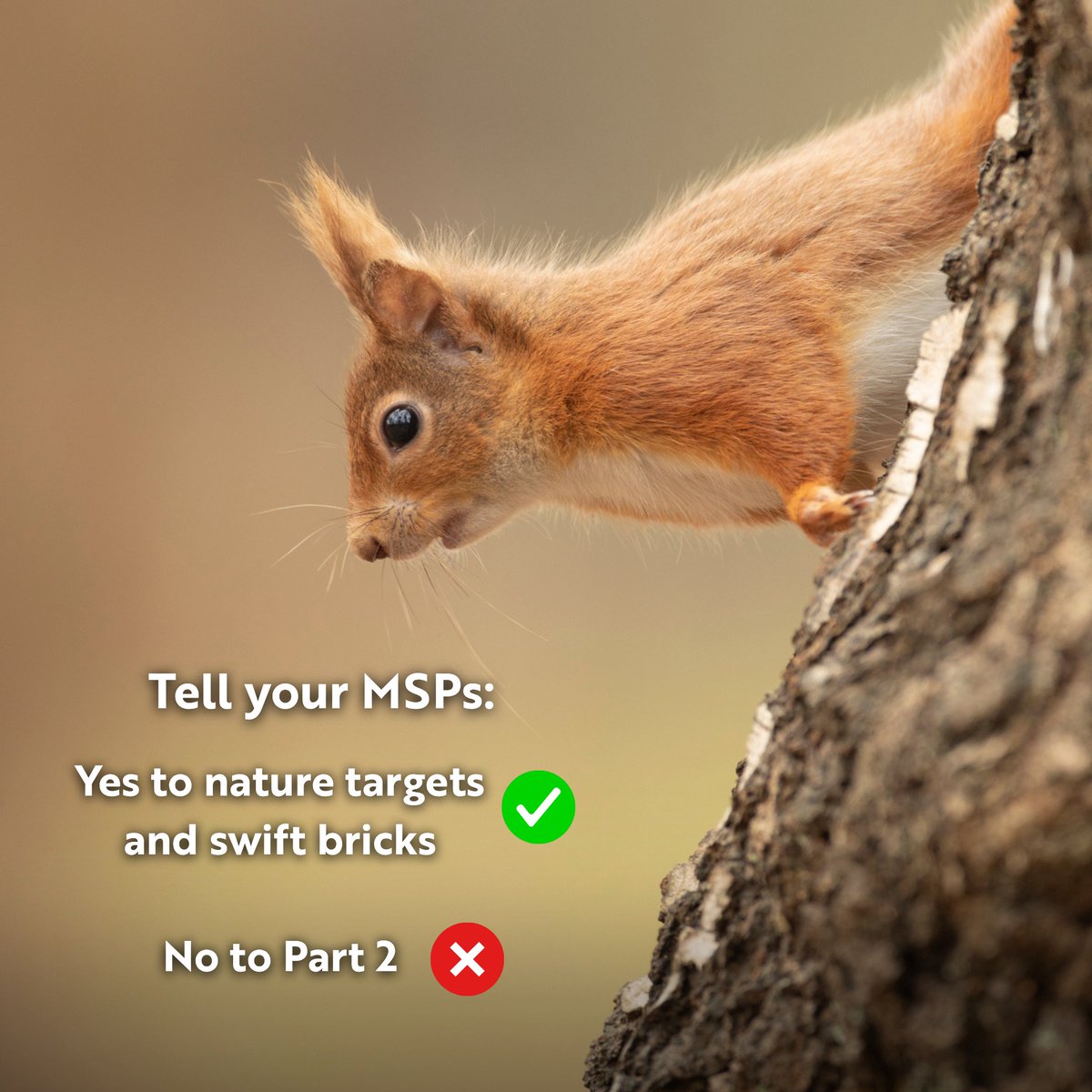 RSPBScotland's tweet image. The Natural Environment Bill could restore nature across Scotland.

But there is a BIG problem.

Part 2 of the Bill introduces powers that threaten key wildlife protections.

That’s not what a nature Bill should do! Join us to call for this to be fixed 👉
action.rspb.org.uk/page/181323/ac…