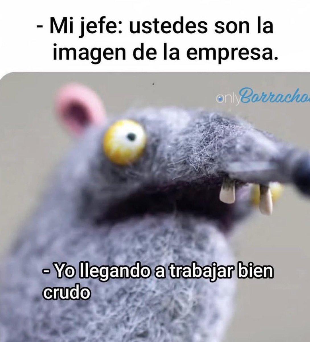 frferrerm's tweet image. 😬