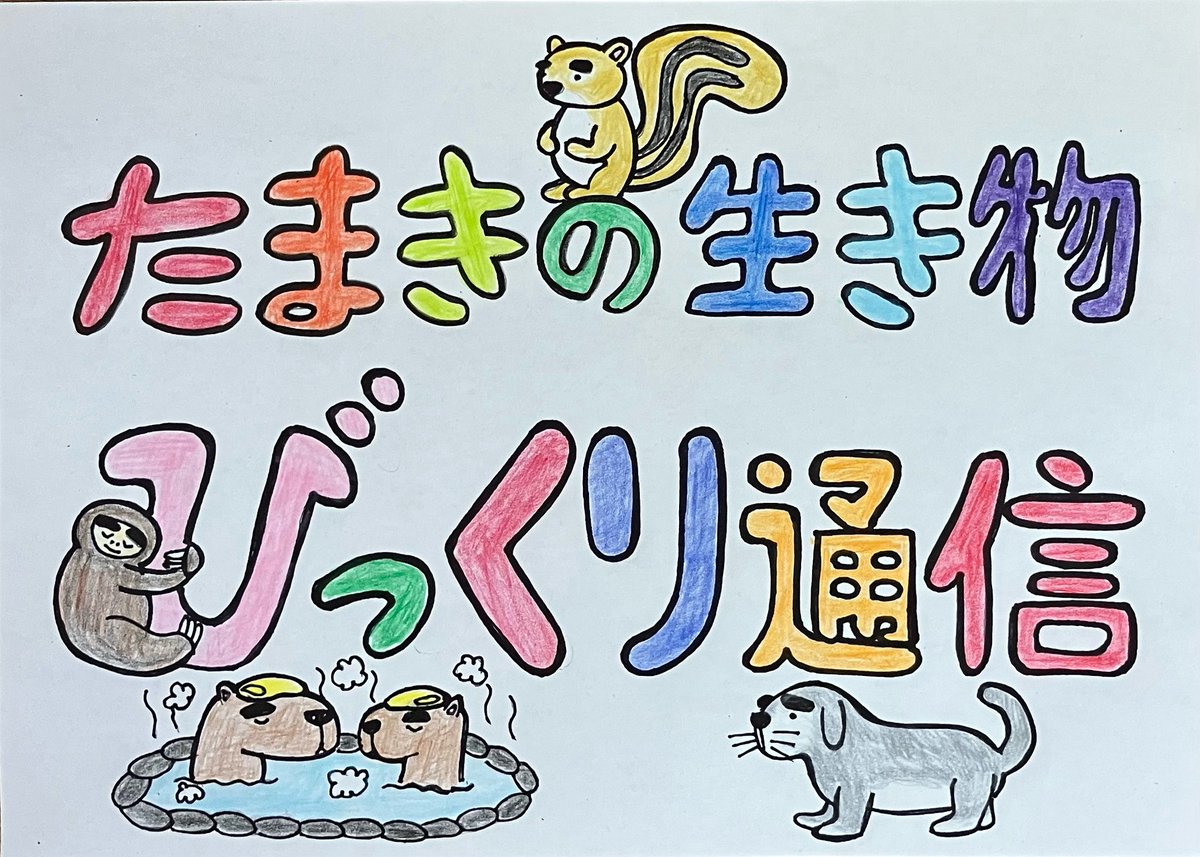 11/14（金）10:00〜13:00   #YESfm  
 maidostastien
テーマは
【限定にトキメク？orやっぱり定番？】

限定品に弱い？
それともいつもの味（物）が落ち着く？
理由やエピソードも教えてね✨
↓
otayori@yesfm.jp

10:45〜は　#たまきの生き物びっくり通信

#maidoST 
#パートナーズプロタレント