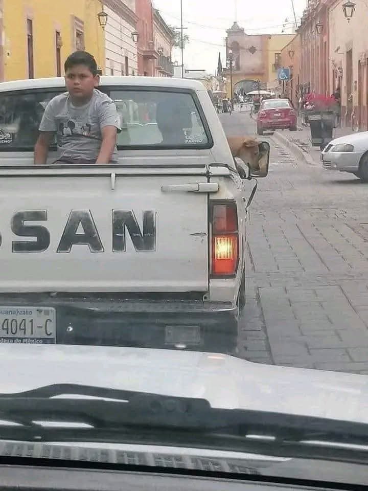 Memes Universidad Nacional tweet media