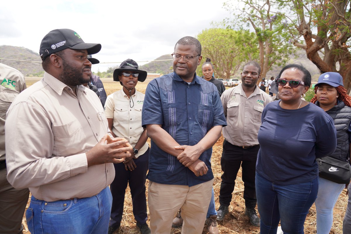 FAOZimbabwe's tweet photo. 🌾 Partnerships in action!
Today @AfDB_Group Executive Director (Southern Africa Group II) visited #FAO-supported food security projects under the #ZEFPP project in Zimbabwe, where innovative financing is transforming farming livelihoods.
#FeedAfrica #SDGs https://t.co/4VAJczOBoc