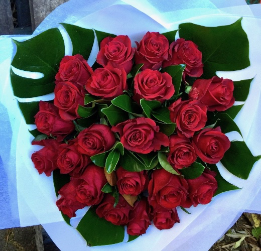 FairysFortune's tweet photo. I just received Roses bouquet from Anonymous via Throne. I want more! https://t.co/PLAPY1aU9v #Wishlist #Throne https://t.co/M8zFqGmzxD