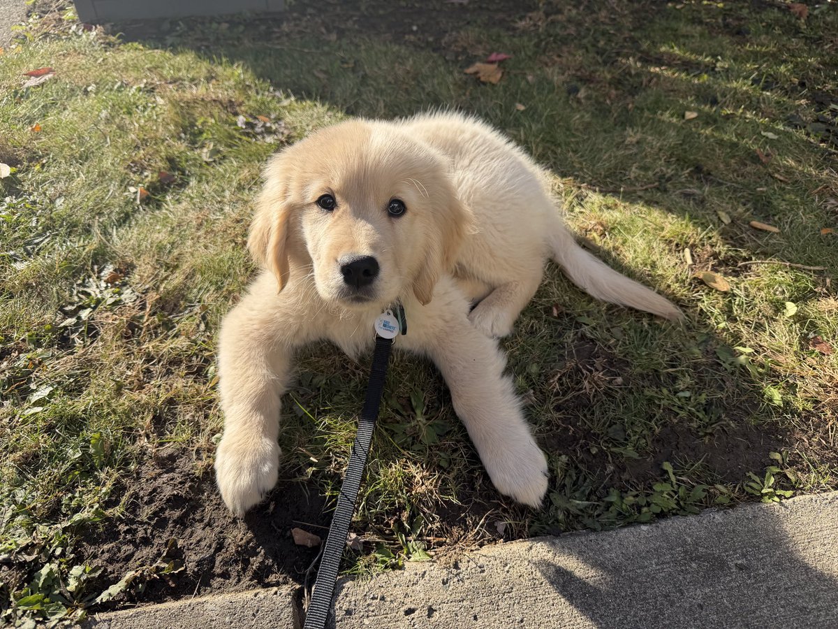 biteyrix's tweet image. My baby