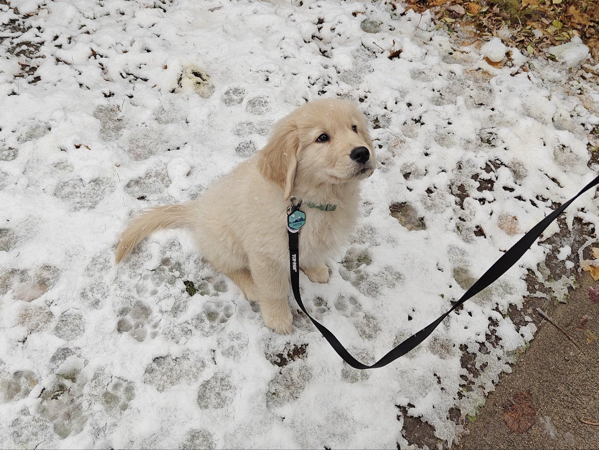 biteyrix's tweet image. My baby