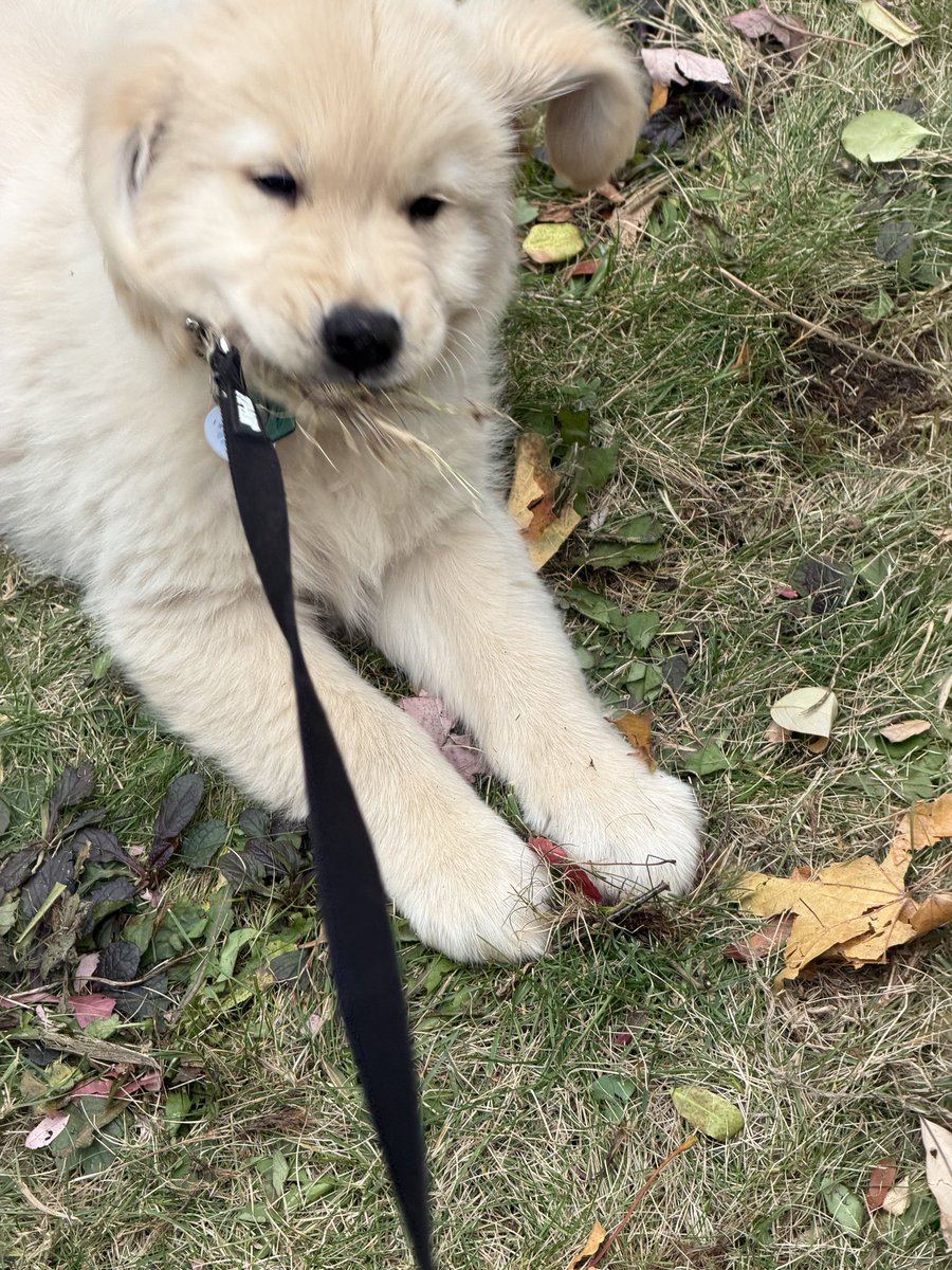 biteyrix's tweet image. My baby