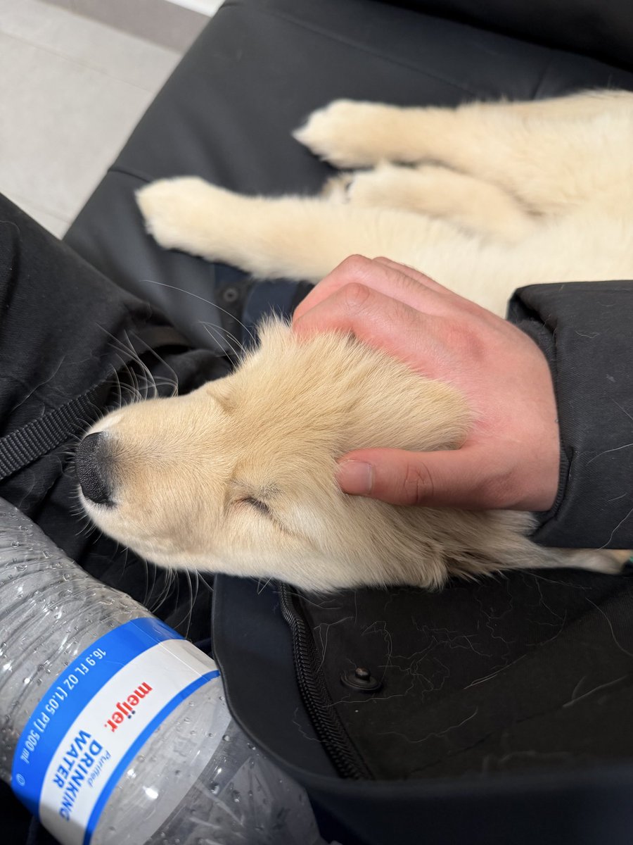 biteyrix's tweet image. My baby