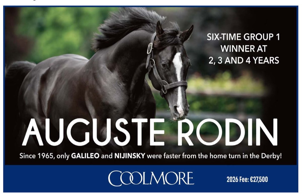 🤩 Striking image of <a href="/coolmorestud/">Coolmore</a>’s Auguste Rodin in today’s <a href="/theTDN/">TDN</a>. 

Group 1 winner at two, three, and four 👌