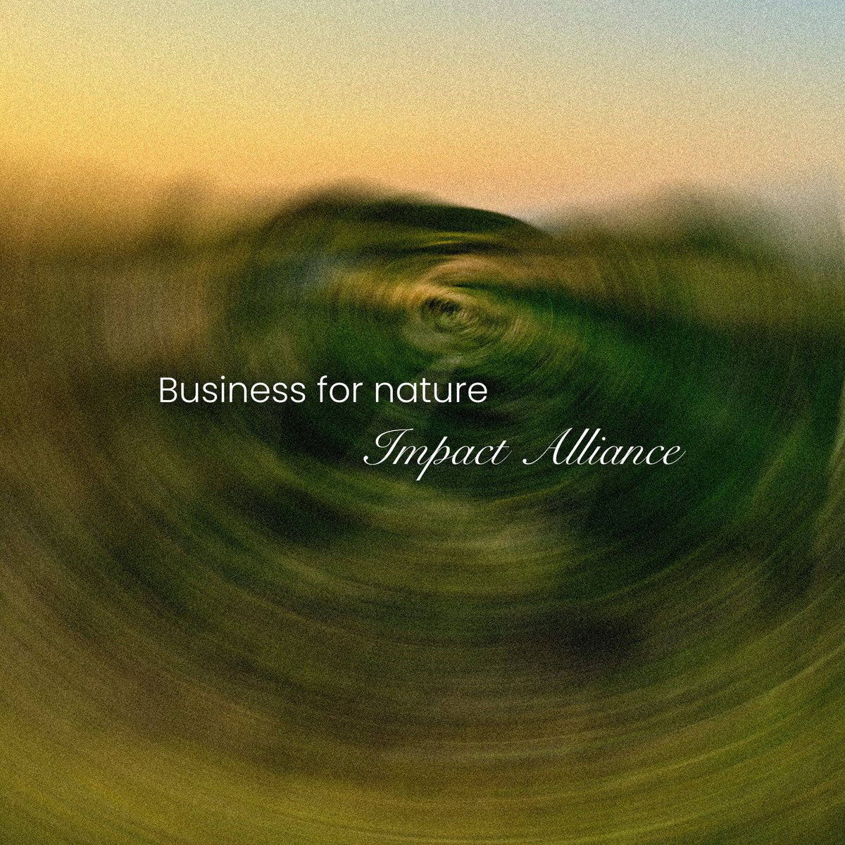 Nature is the world’s original economy.

Business for Nature - is how we bring it back into focus.