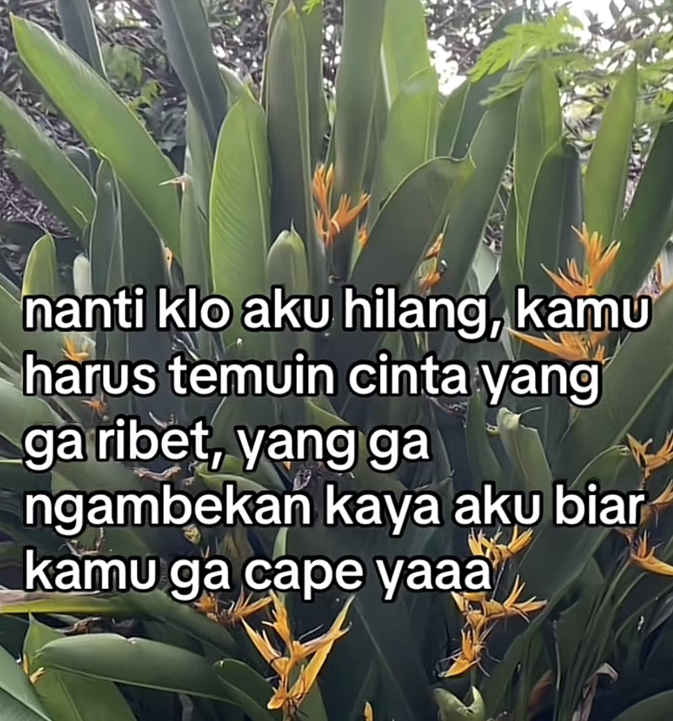 redQueenns's tweet photo. Capek bgt nangis. Damai sama pikiran sendiri  itu sakit bgt ternyata https://t.co/8DchhJJ2nv