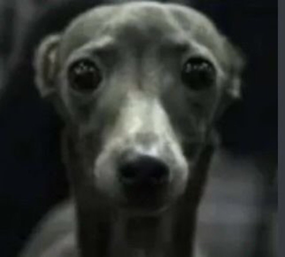 estoy viendo el documental del caso de fernando sosa y me destruye el alma cada vez que habla la madre